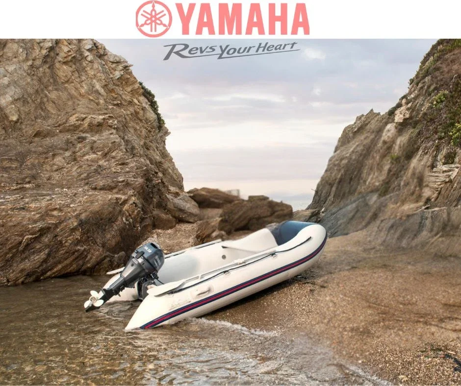 Извънбордов двигател Yamaha Marine JMHS 9.9hp - снимка 2